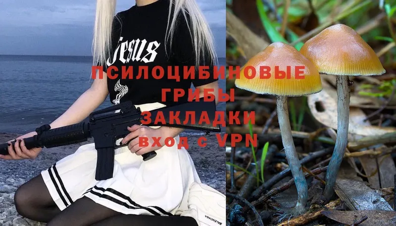 Галлюциногенные грибы Magic Shrooms  Верещагино 